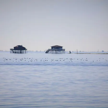 Maison Coloree Centre - Plage A 300 Metres Dom wakacyjny *